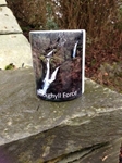 Picture of Ambleside Money Box