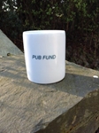 Picture of Pub Fund money box