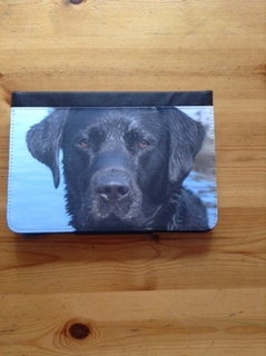 Picture of Mini Ipad case