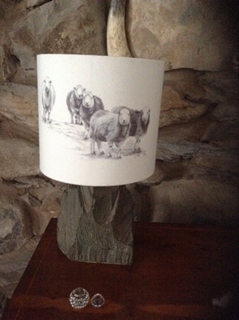 Picture of Ceiling or Lamp shade