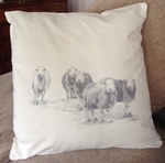 Picture of Herdwick sheep cushion cover