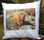 Picture of Highland cow cushion cover