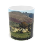 Picture of Castlerigg Stone Circle mug