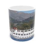 Picture of Teal on Windermere mug